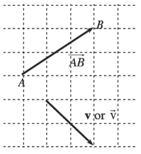 2 rays on grid, top ray labeled ray, A B, starts @ A, goes right 3 & up 2, ending at point, b, bottom ray labeled bold V, or ray v, starts at unlabeled point, goes down 2 & right 2, ending at unlabeled point.